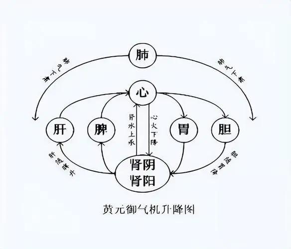 脾胃升降很重要，陈皮干姜炙甘草就是这个思路
陈皮气清芳香清气上行，头脑精神。用陈