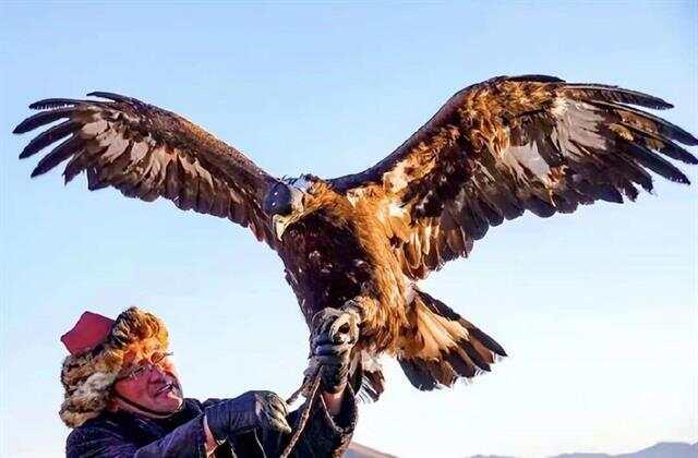 “熬鹰、熬脚盆鸡”，就是一种战略阳谋，就是用时间+资源+规则，把维持美国霸权，把