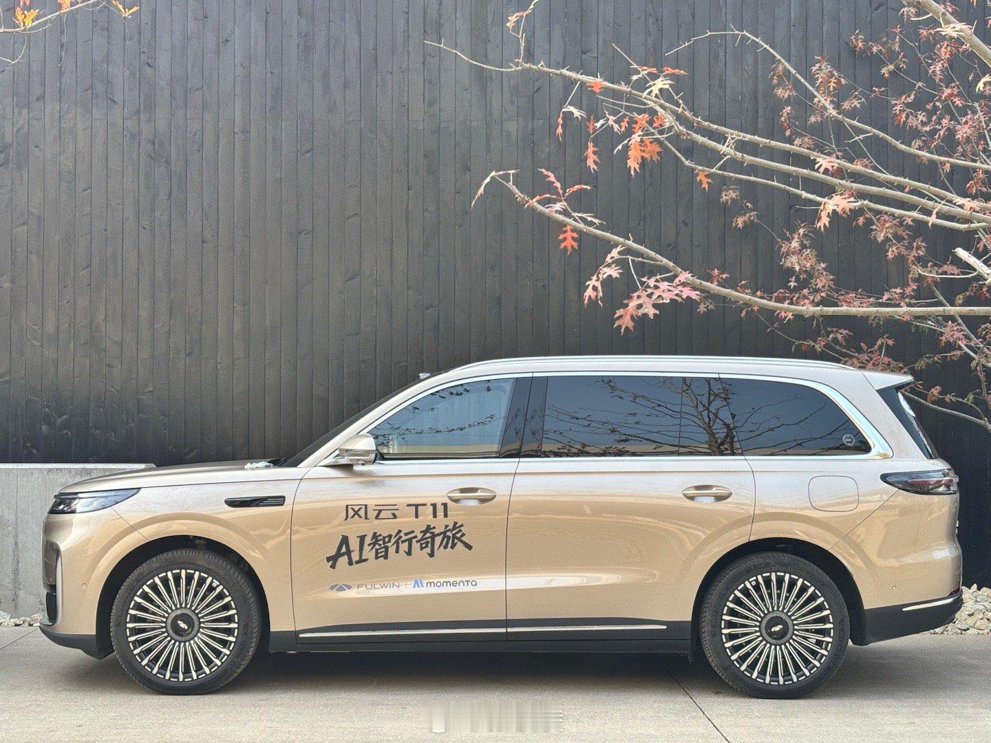 我就说T11是耐看型的吧 