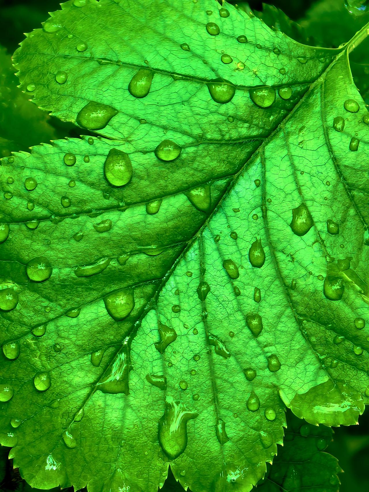 润