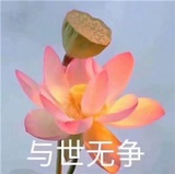 圆头热品生活服务