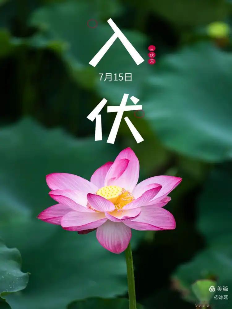 入伏是怎么回事？
       明日即7月15日入伏，入伏代表一年中最热的时候到