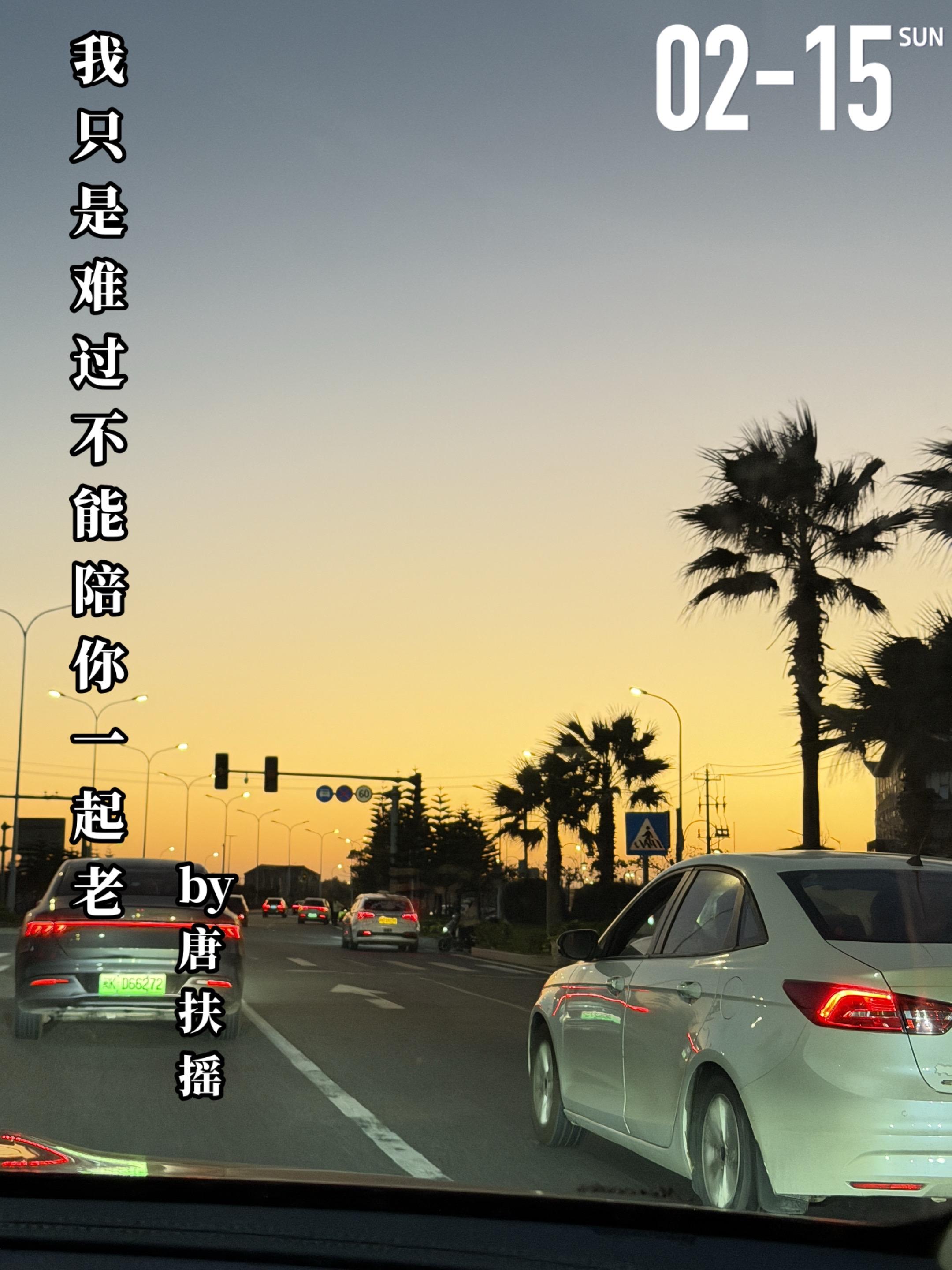 《我只是难过不能陪你一起老》by唐扶摇。梁满月（女主）的父母离异后，她...