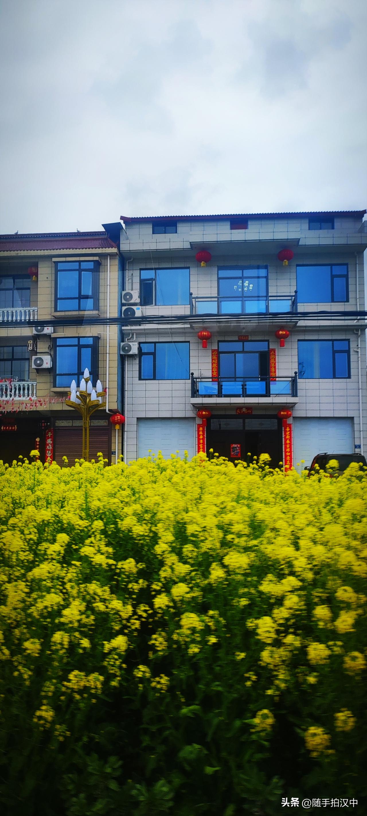 塬下的村庄，油菜花在屋前开的正好。远处是山，近处有田，阡陌交通，鸡犬相闻，往来种