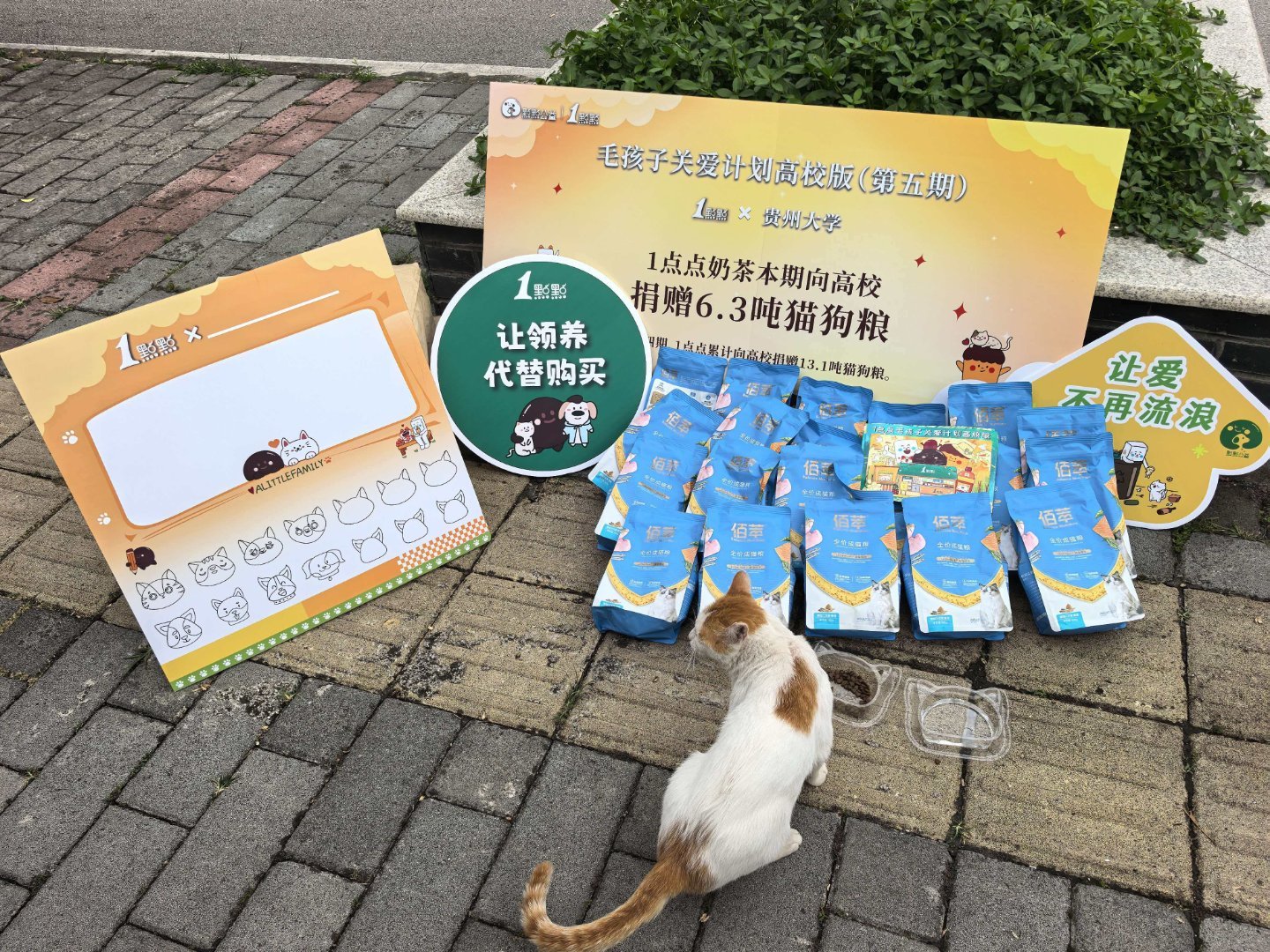 不管了，我将坚决拥护一点点