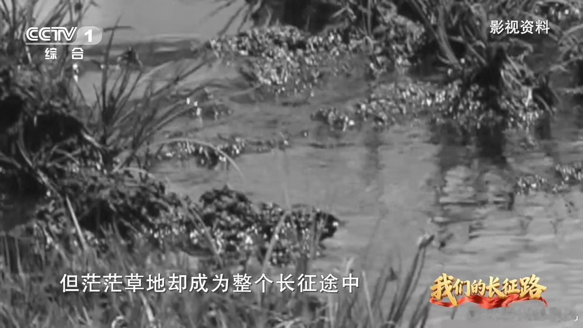 红军沉入沼泽前最后一句话听哭 沼泽吞人，却吞不掉那句话的温度。战友伸手，她摇头；