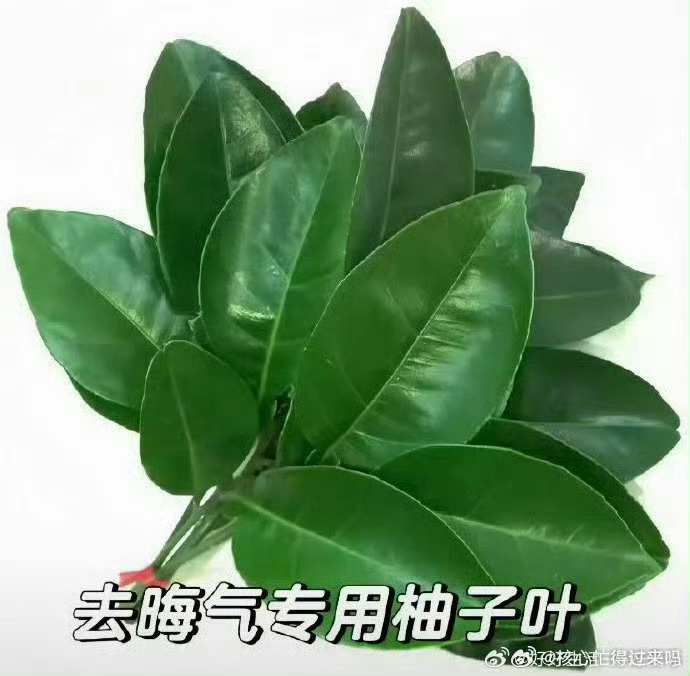董子健看孙怡获奖的眼神 前夫哥一家子给自己同时搞了六个热搜蹭影后 真难看孙怡平遥