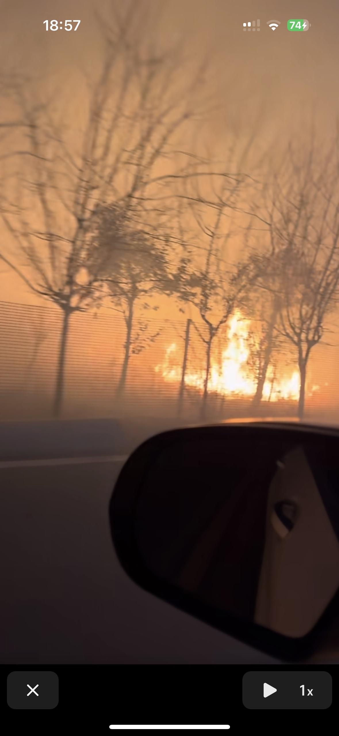 我敢说，明年一定不会再让大家放炮了
江苏的网友回家的路上录了一段视频，旁边的树木