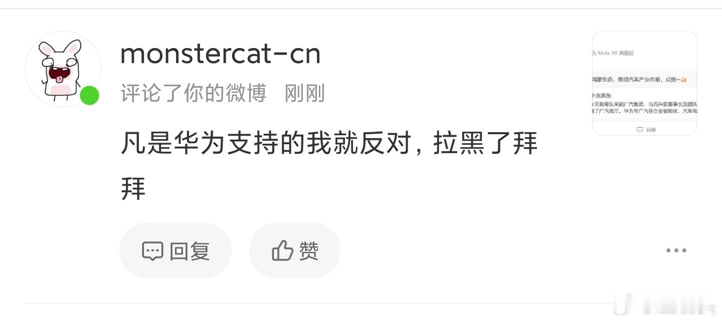 真拉黑了呀！！！我有喜欢的品牌，有愿意维护的品牌，但你要说我厌恶哪个品牌，我真的