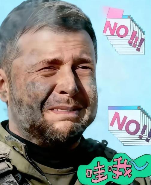 泽连斯基公开承认 2026年1月17日，乌克兰总统泽连斯基公开承认：乌方防空导弹