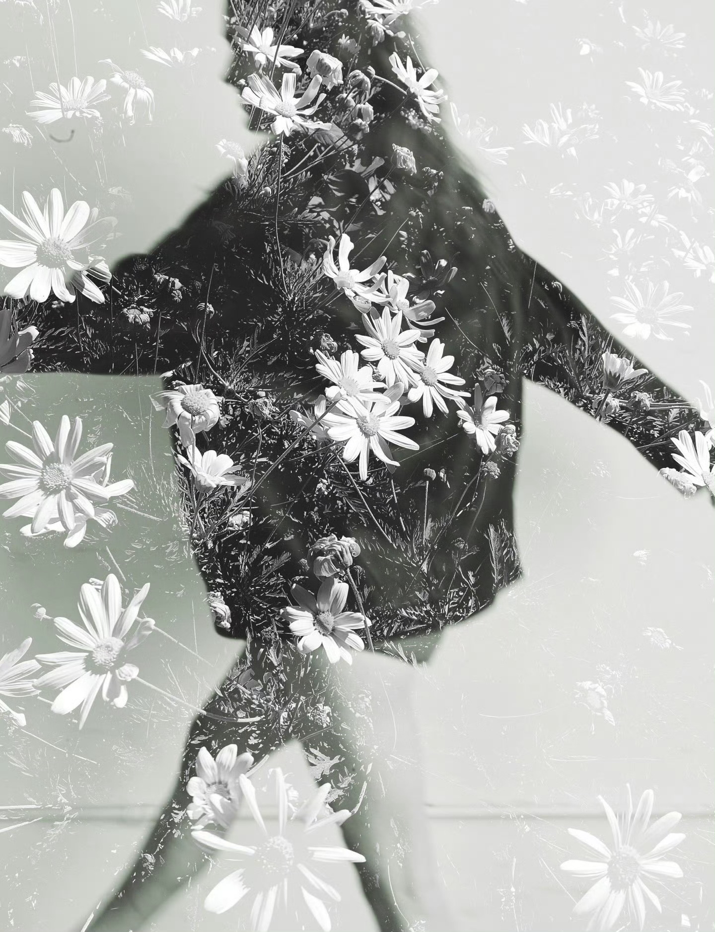 萨迪·辛克为《POP》杂志拍摄的一组新写真