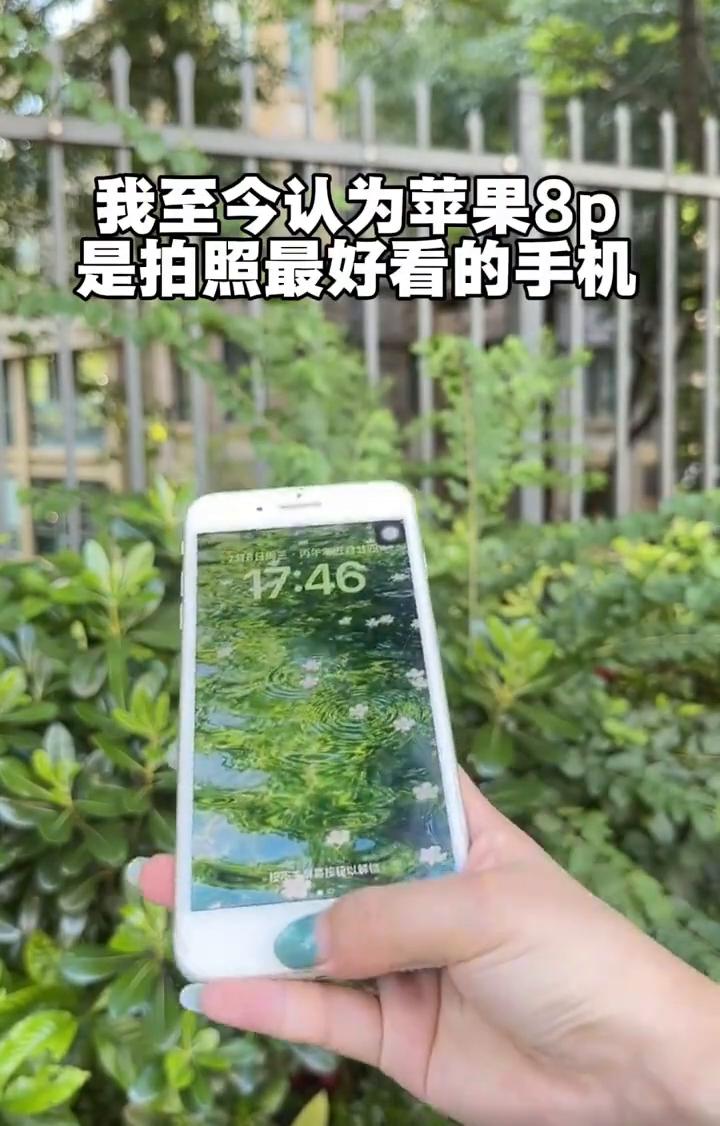 我至今认为苹果8p是拍照最好看的手机。