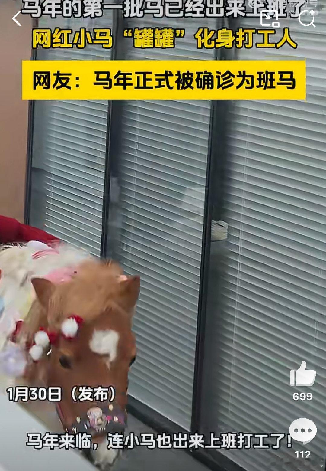 马年的第一批马已经出来上班了  小马罐罐可以带着马年的好运上线了呀，成为了我们办