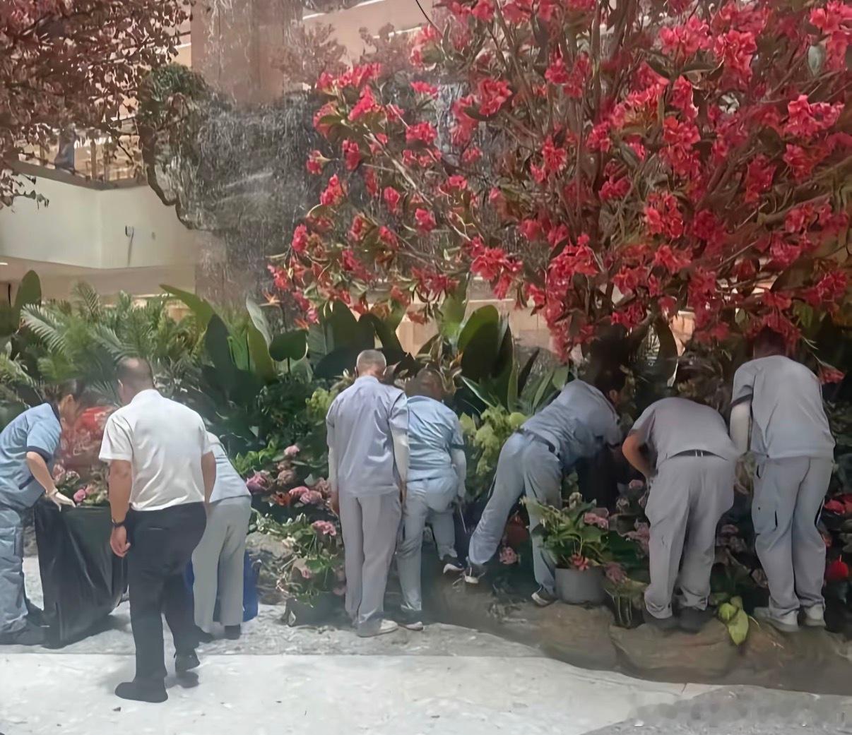 官方通报西安赛格商场一男子坠楼西安一商场商户坠亡，看得心里发堵。警方已排除刑案，