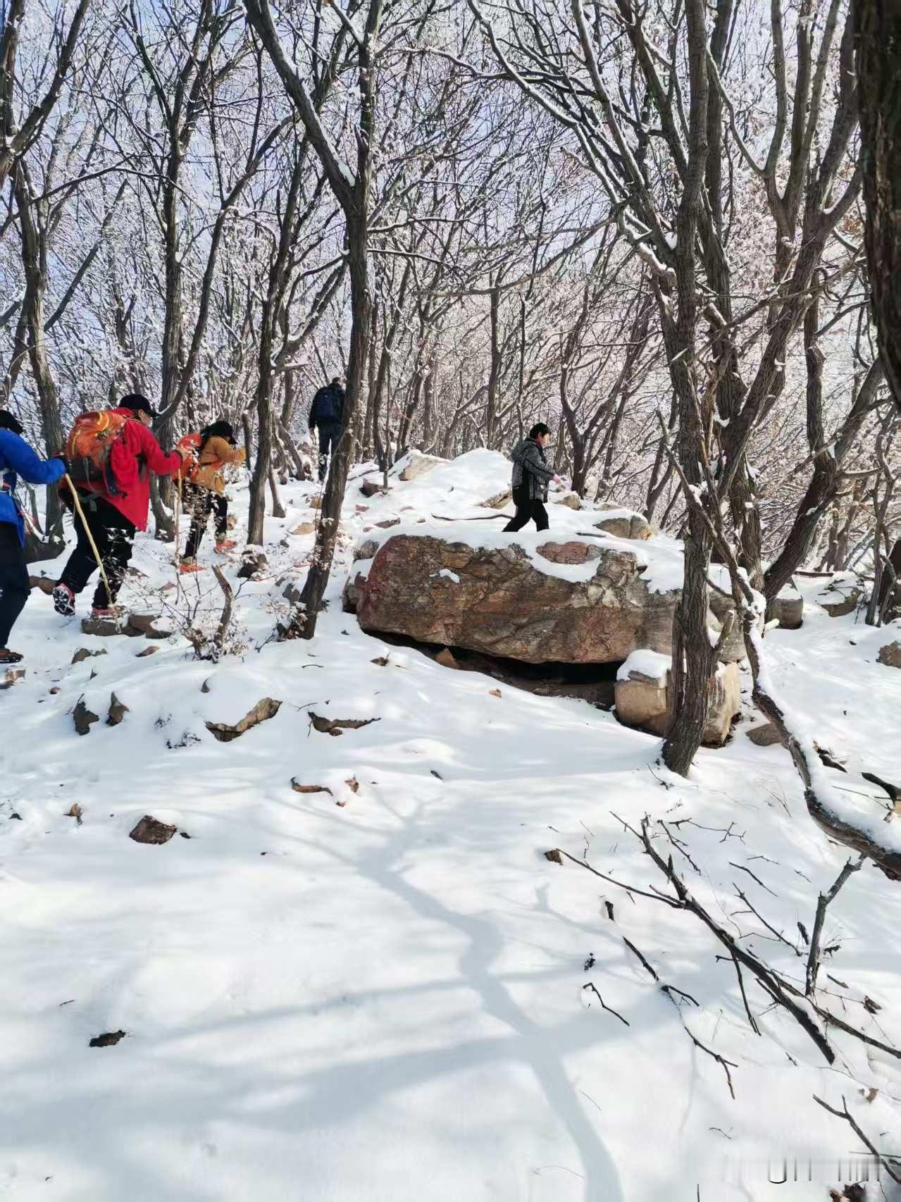 雪落嵩山
 
巳亥岁末，雪霁初晴，踏雪上山。
弃车嵩麓，徒步上行，抬眼已是琼枝玉