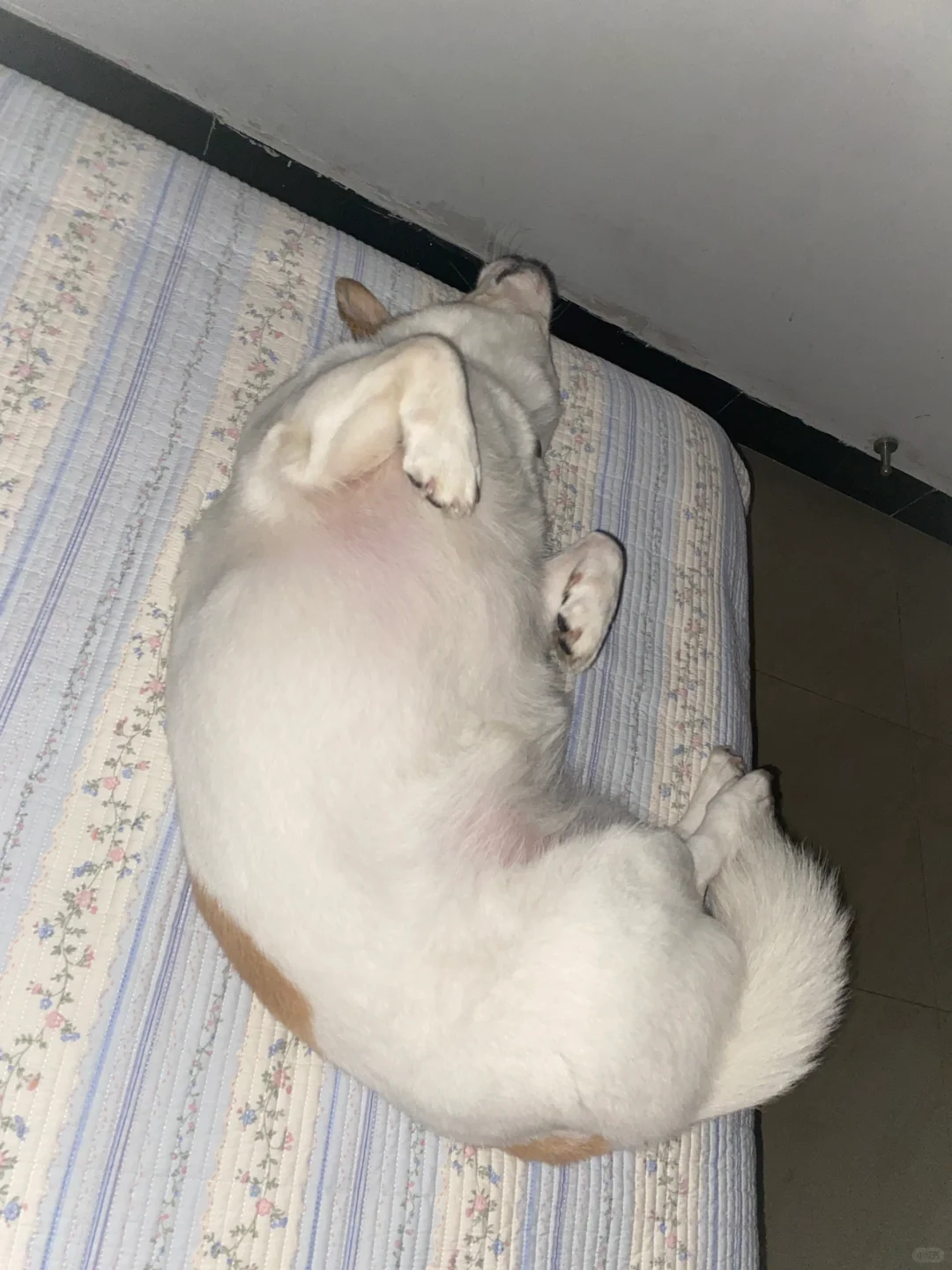 夜里睡觉这个姿势
