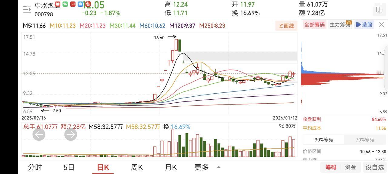 今天运气不错，两市满共4个跌停板，我就占了一只。东珠生态是我上周三建的仓，上周五