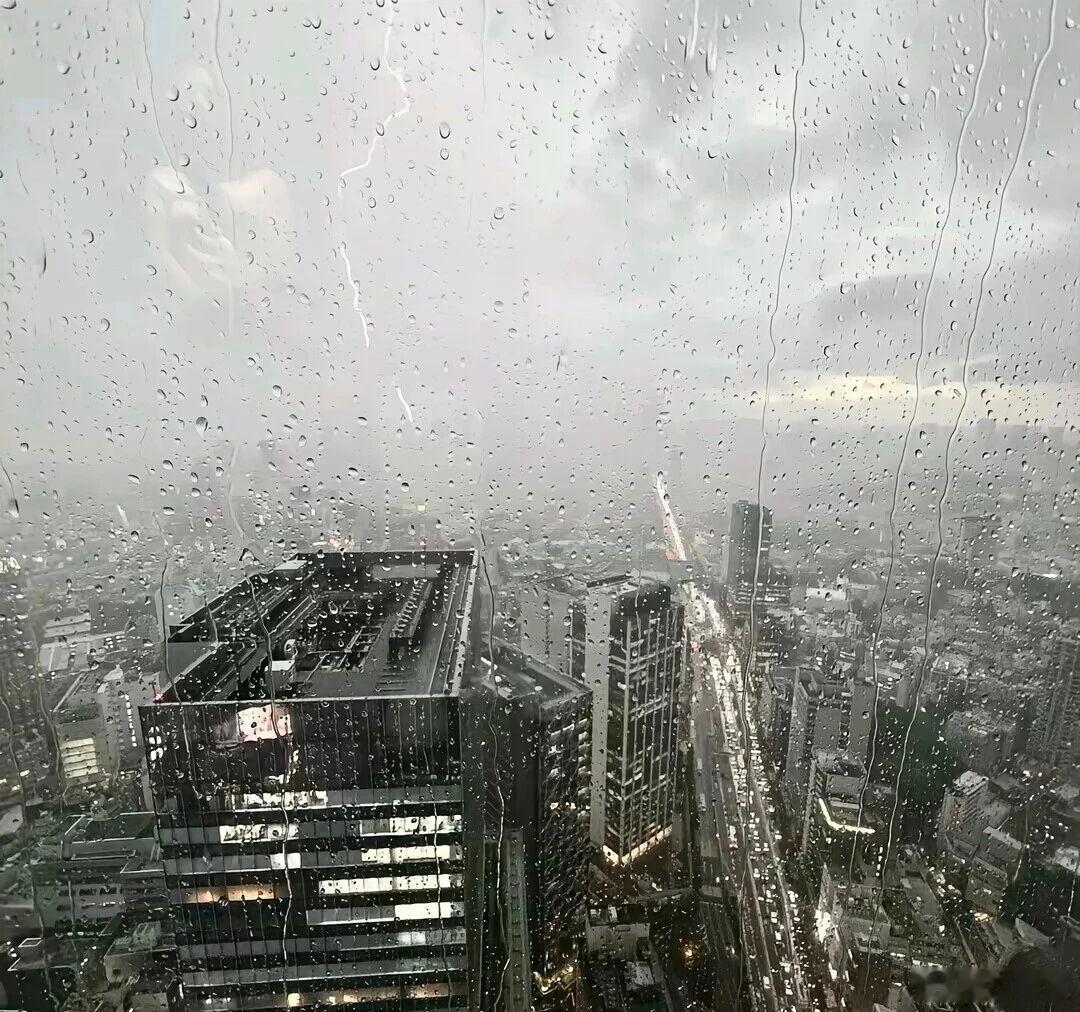 “我比任何人都小心，生怕一不小心，就给别人添了麻烦。”我到底有多少东西生活碎片治
