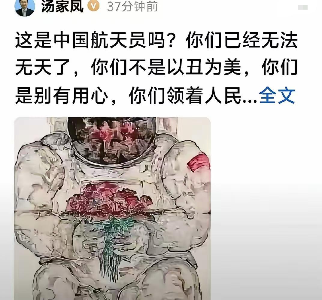 汤家凤再开炮：这是中国航天员吗？你们领着人民的俸禄，在丑化英雄人物！！今天下午，