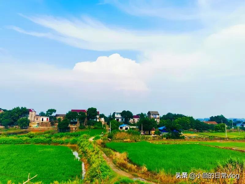在农村生活，倒个垃圾都这么不容易。家门口没有垃圾桶，每次都要骑上电瓶车，跑个三五