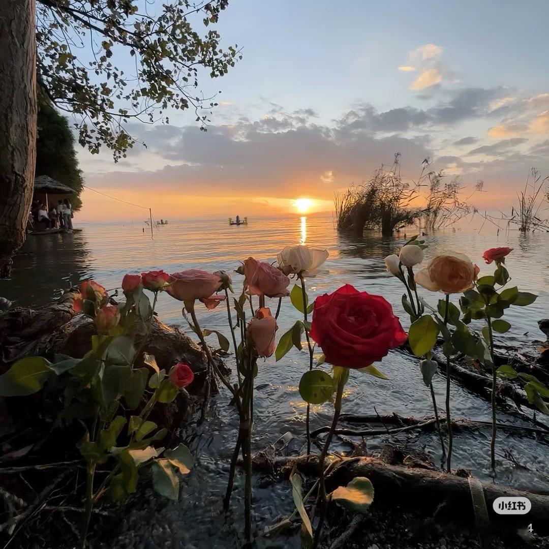 好看风景照分享