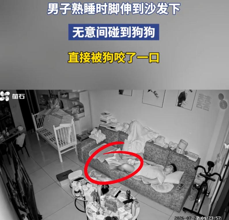 福建，一男子在家里沙发上睡觉，睡得正香时就把脚伸到沙发下面，无意间碰到了地上的小