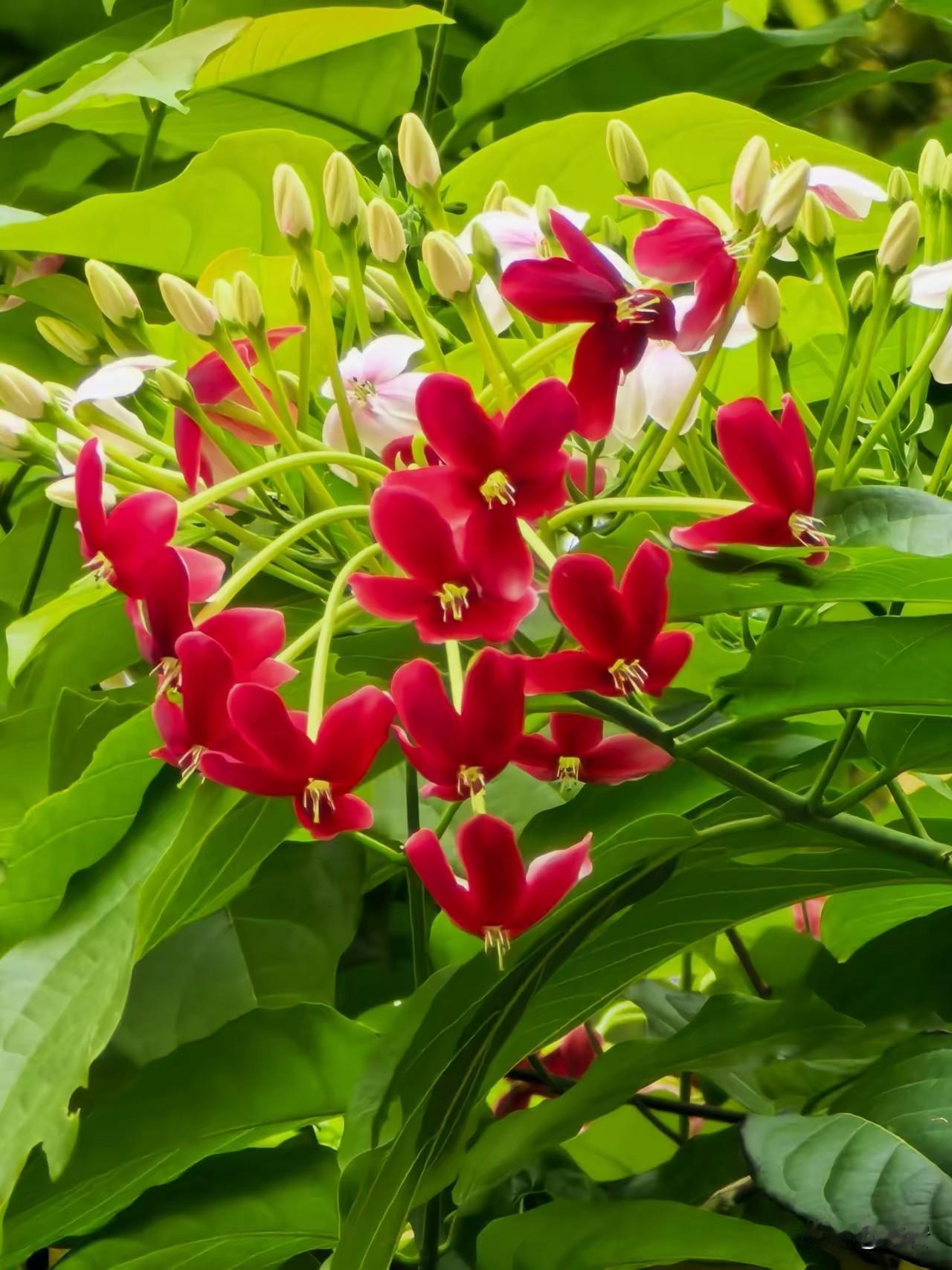 从四季轮回，悟人生短暂
 
1. 春生：少年意气，不必急于求成
万物萌芽，生机暗