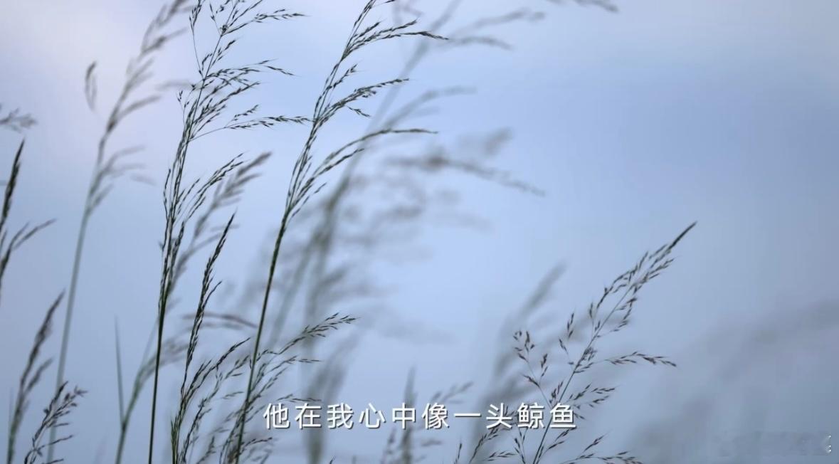 十三邀9首期对话姚明 从NBA巨星到中国篮球的推动者，姚明的转型太坚定，有理想不