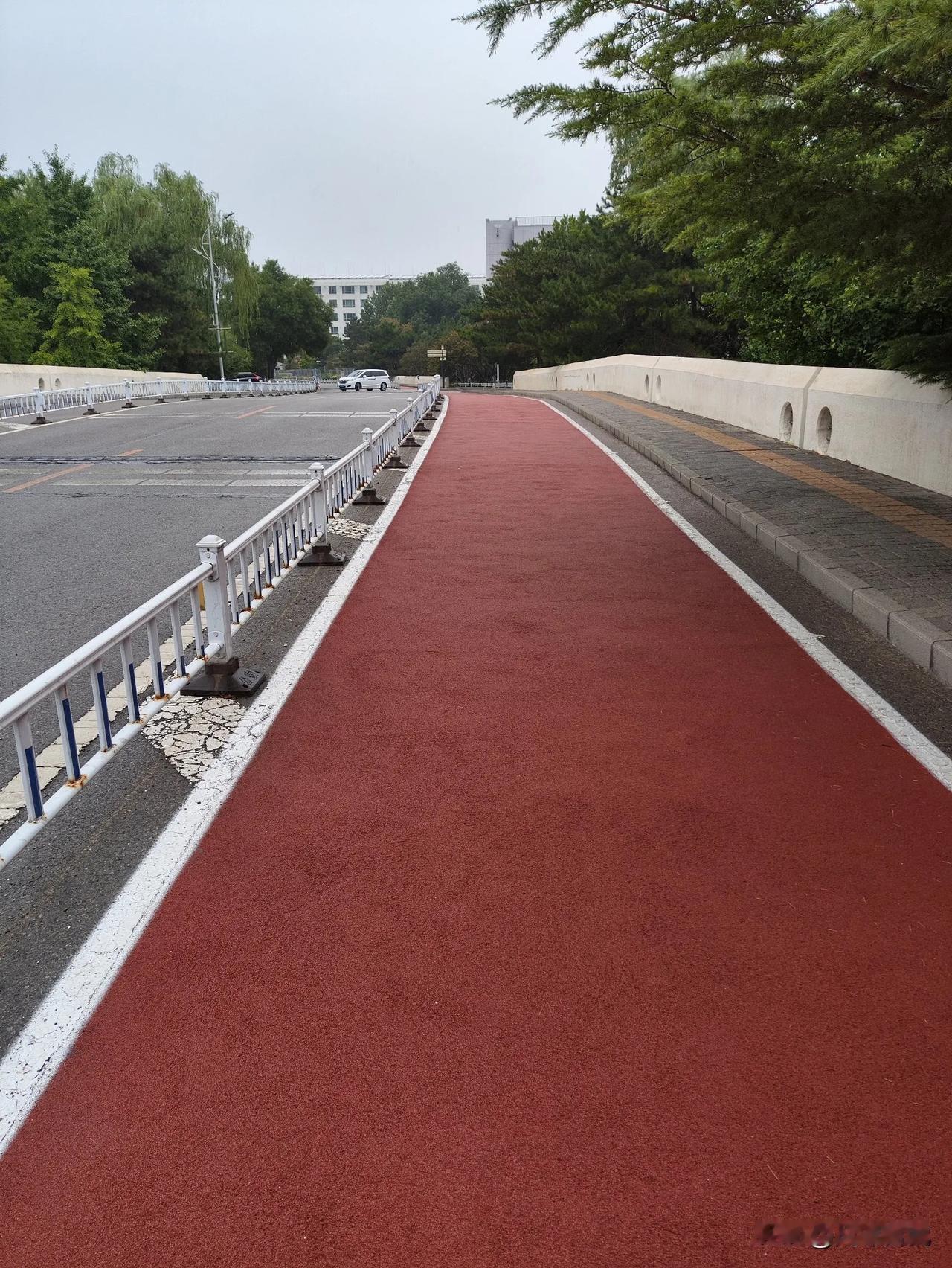 健康是1，其他都是0。“身体倍儿棒”是大学生追求人生理想、融入国家建设的根基，只
