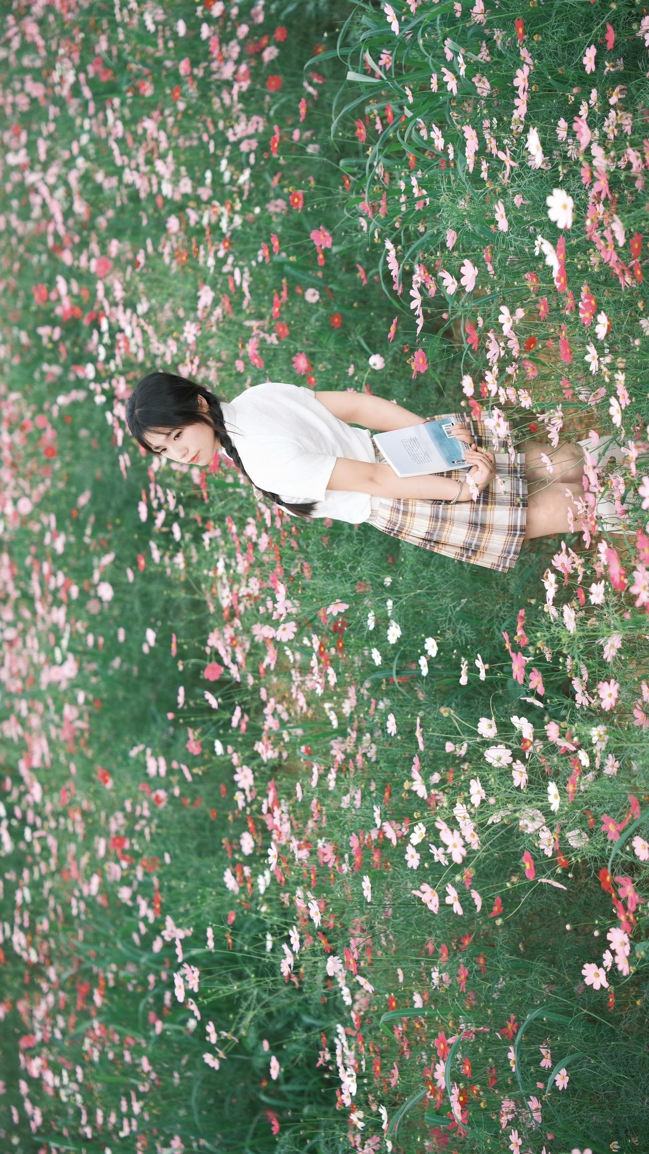 格桑花海 深圳约拍