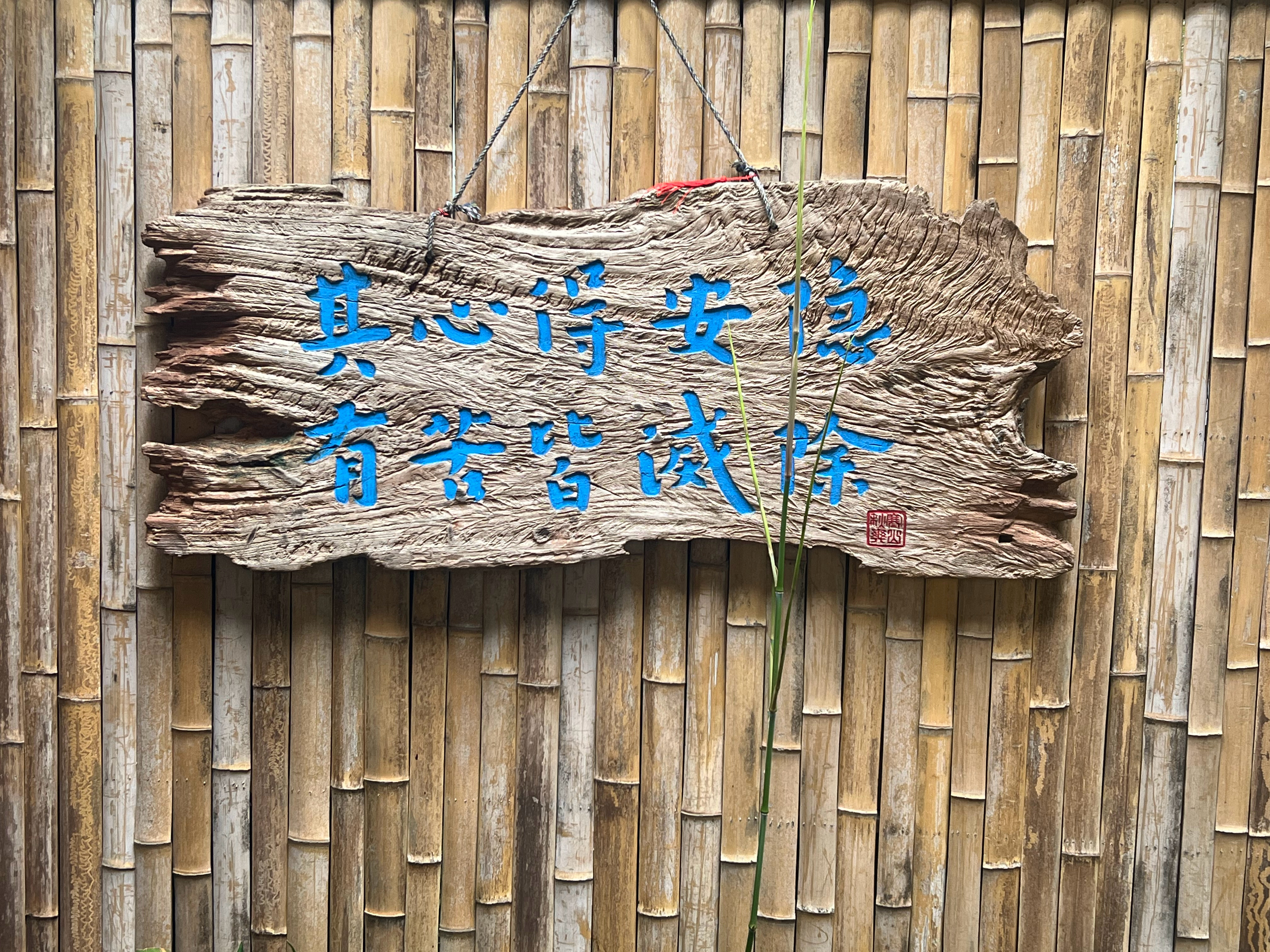 分享图片 ​​​