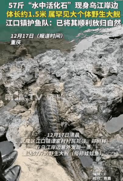 幸亏发现及时！重庆一村民干活时，突然发现石头缝有动静，他起初以为是辣条，结果凑近