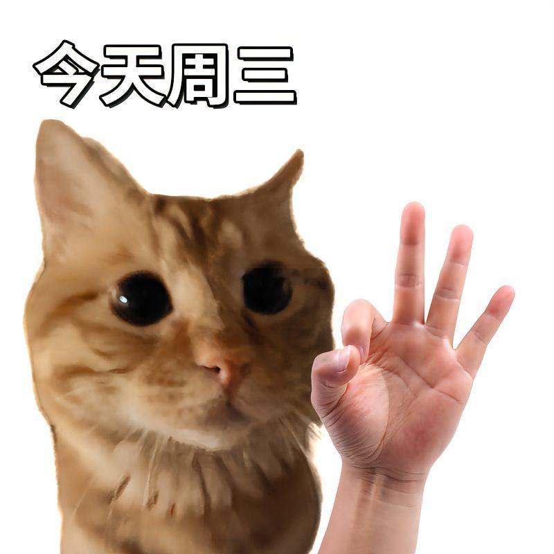 早安清松排球🏐清松排球的早安