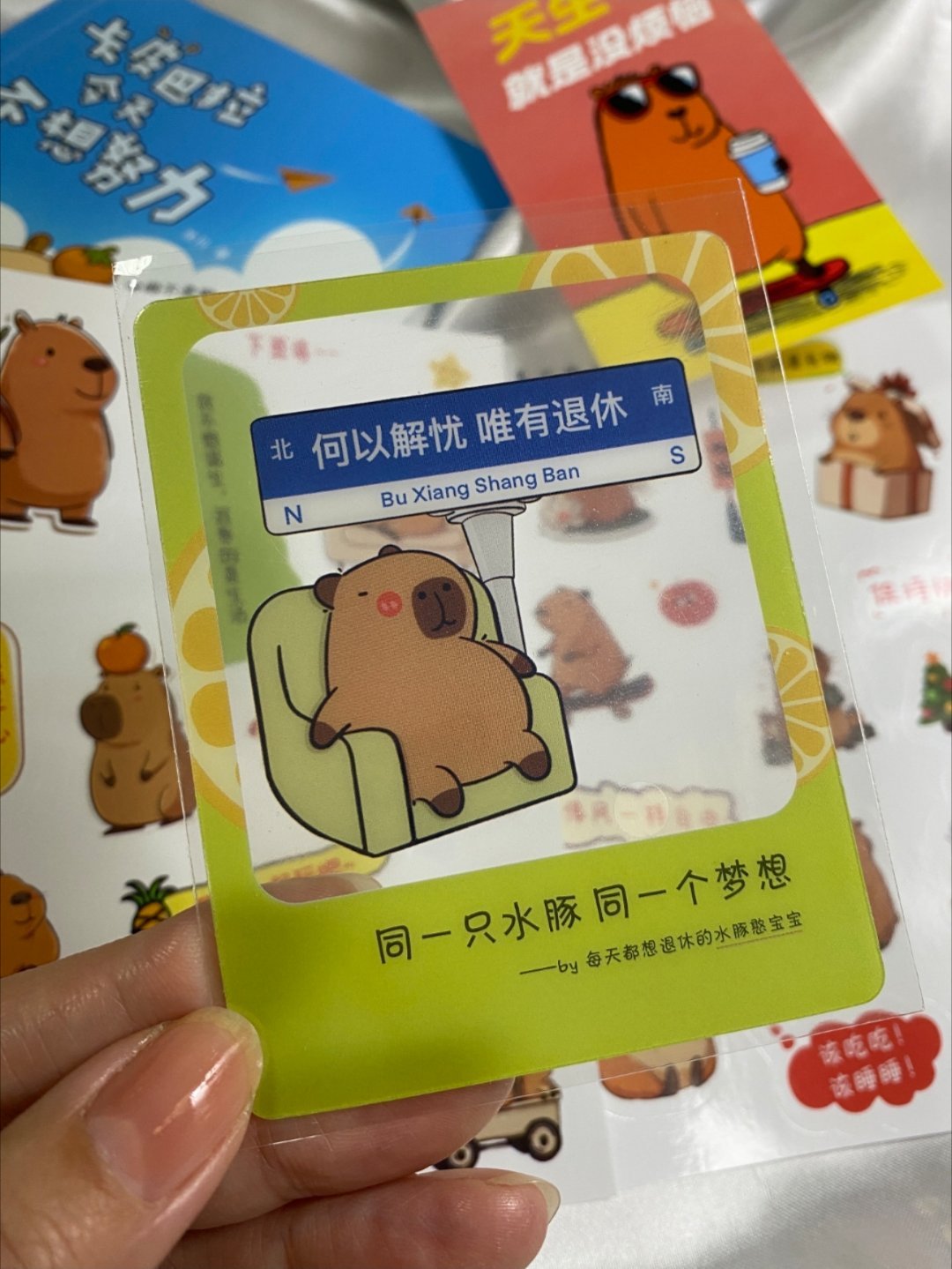 被这本书狠狠治愈了 