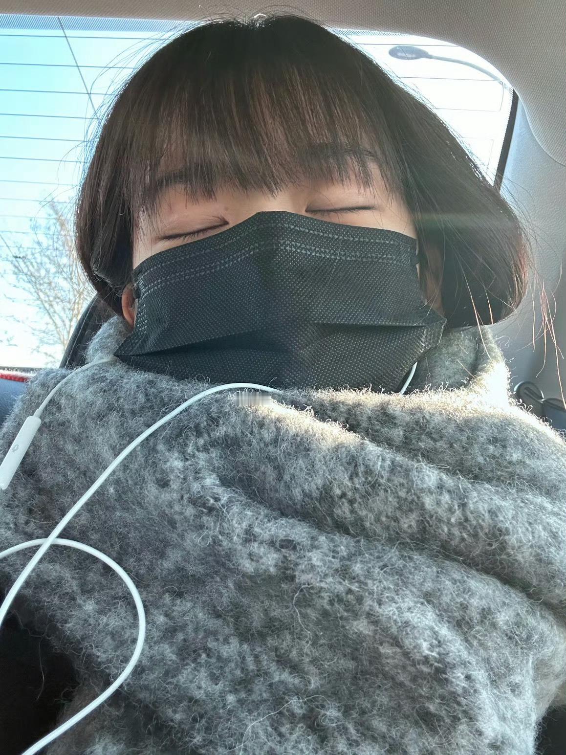 萌狗 