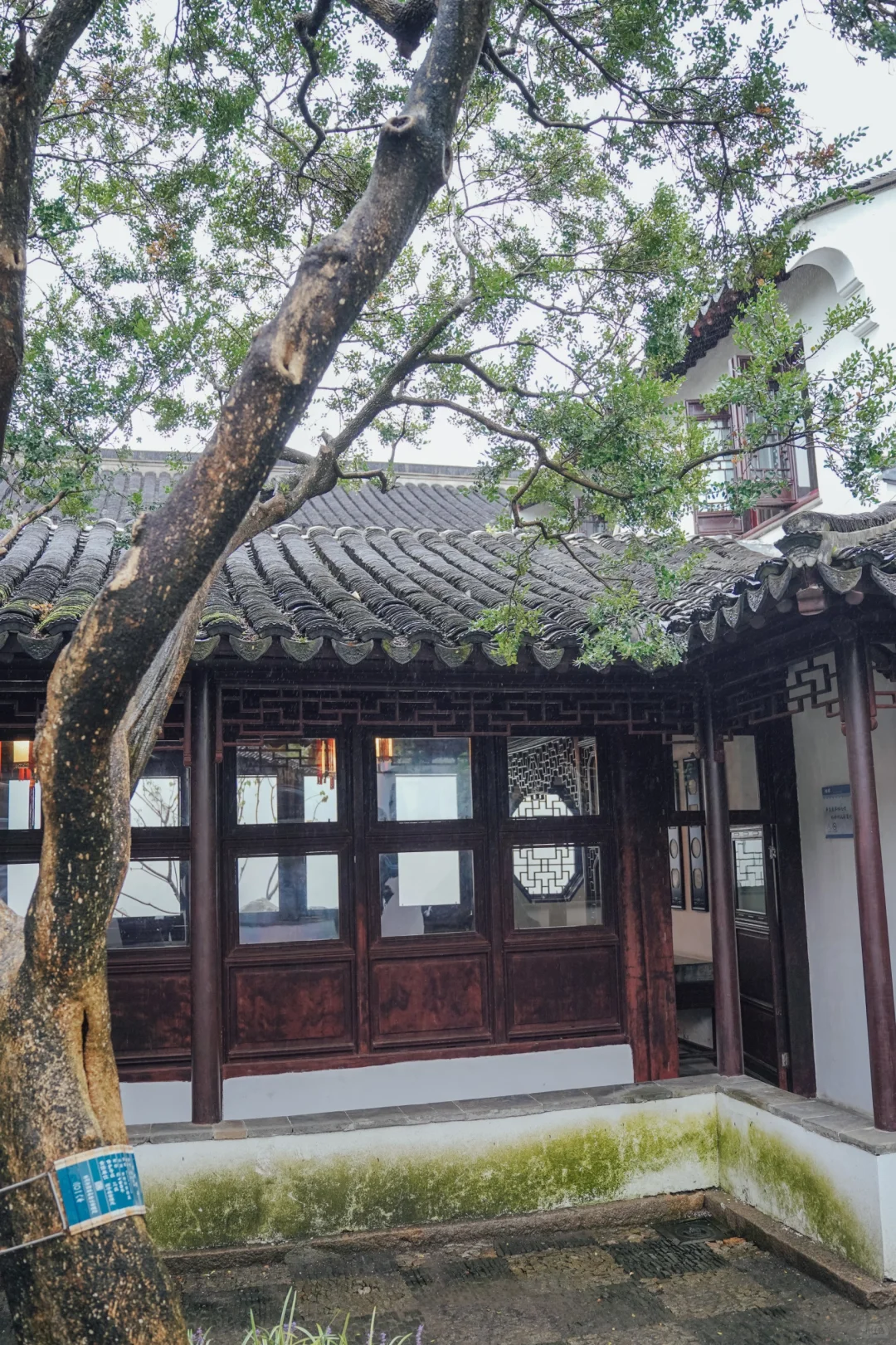 下雨的园林，是苏州人自己的精神保护区❗❗