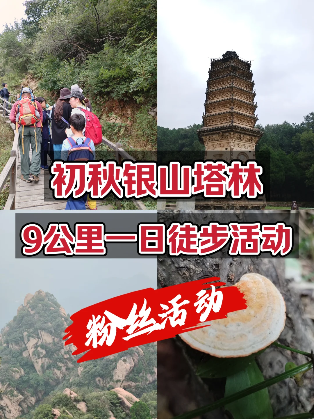 【粉丝福利】银山塔林徒步，解锁山野之美！