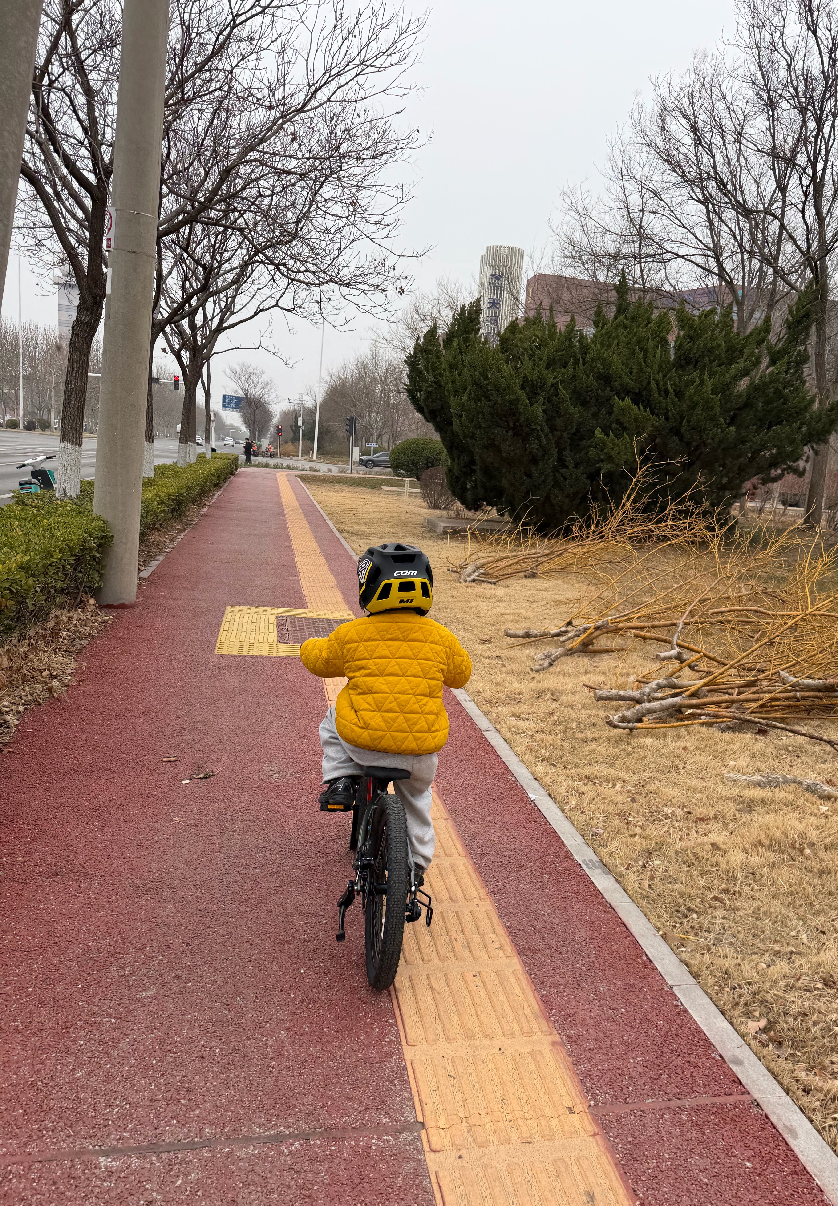 我也想买个山地车可惜家里没地方放 天津