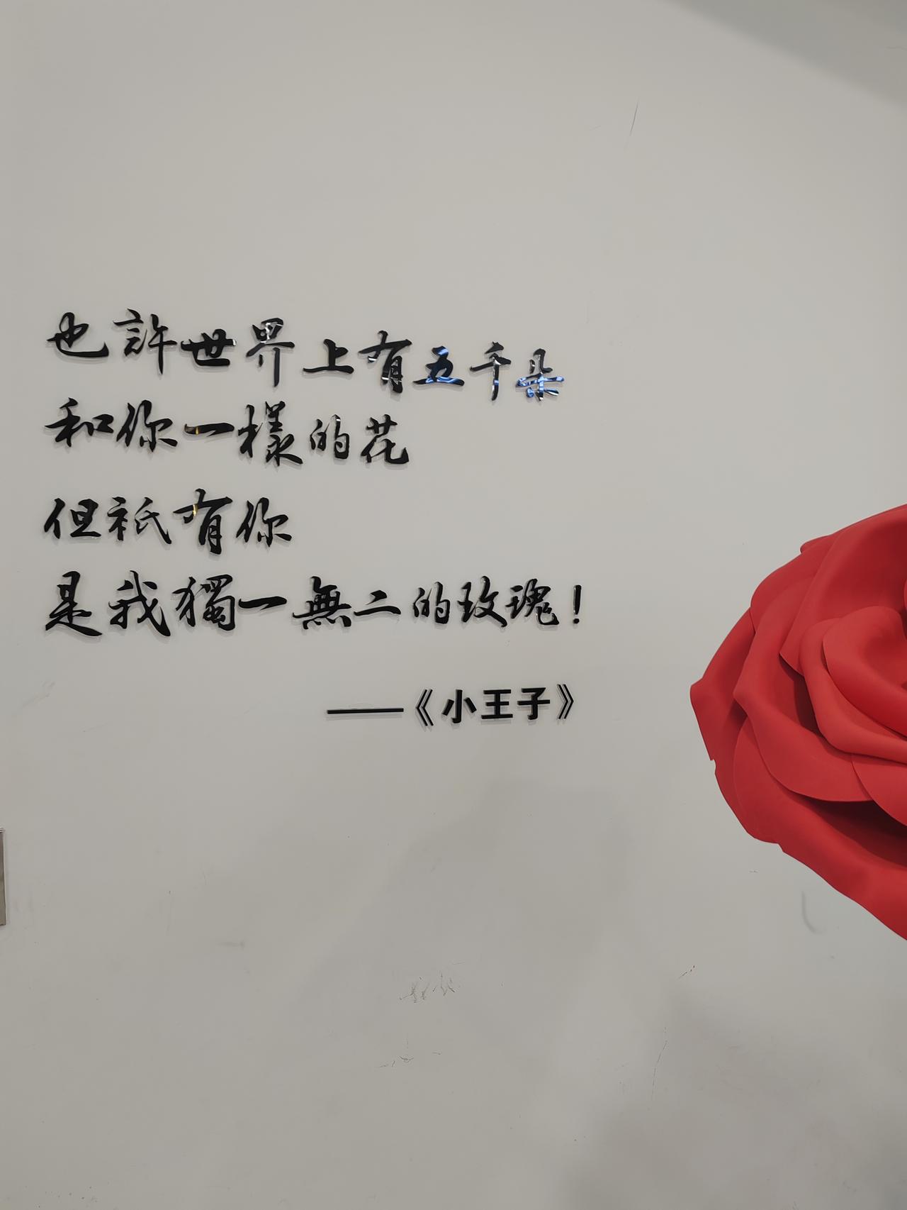 人到中年
幸福的含义是父母健康
孩子茁壮成长
每天开心