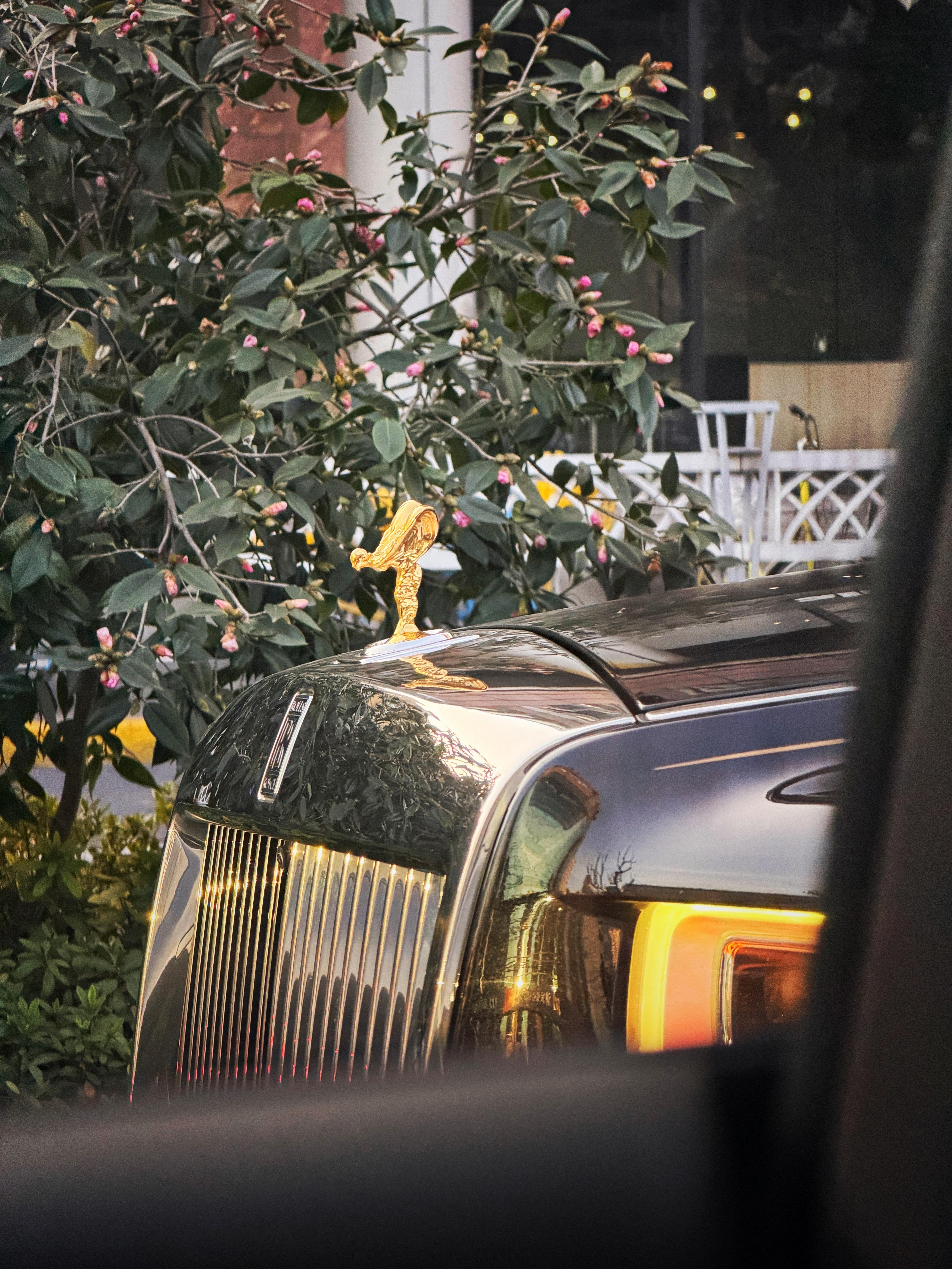 小金人的光芒穿透了滴滴后排我的墨镜🕶️ 欣哲频道劳斯莱斯 上海