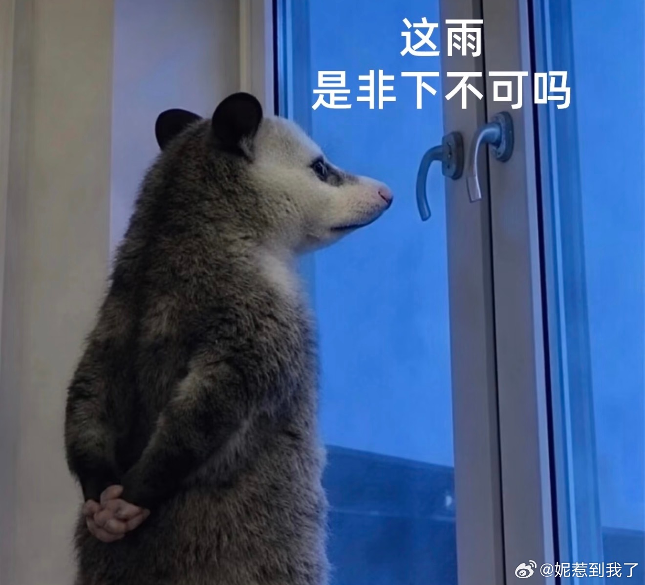 。。。恨 
