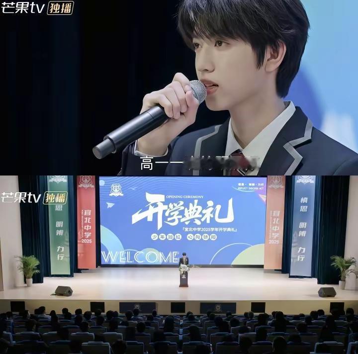 顾晨阳学长 在开学典礼上 你代表新生发言 看起来自信明媚 是我遥不可及的存在 后