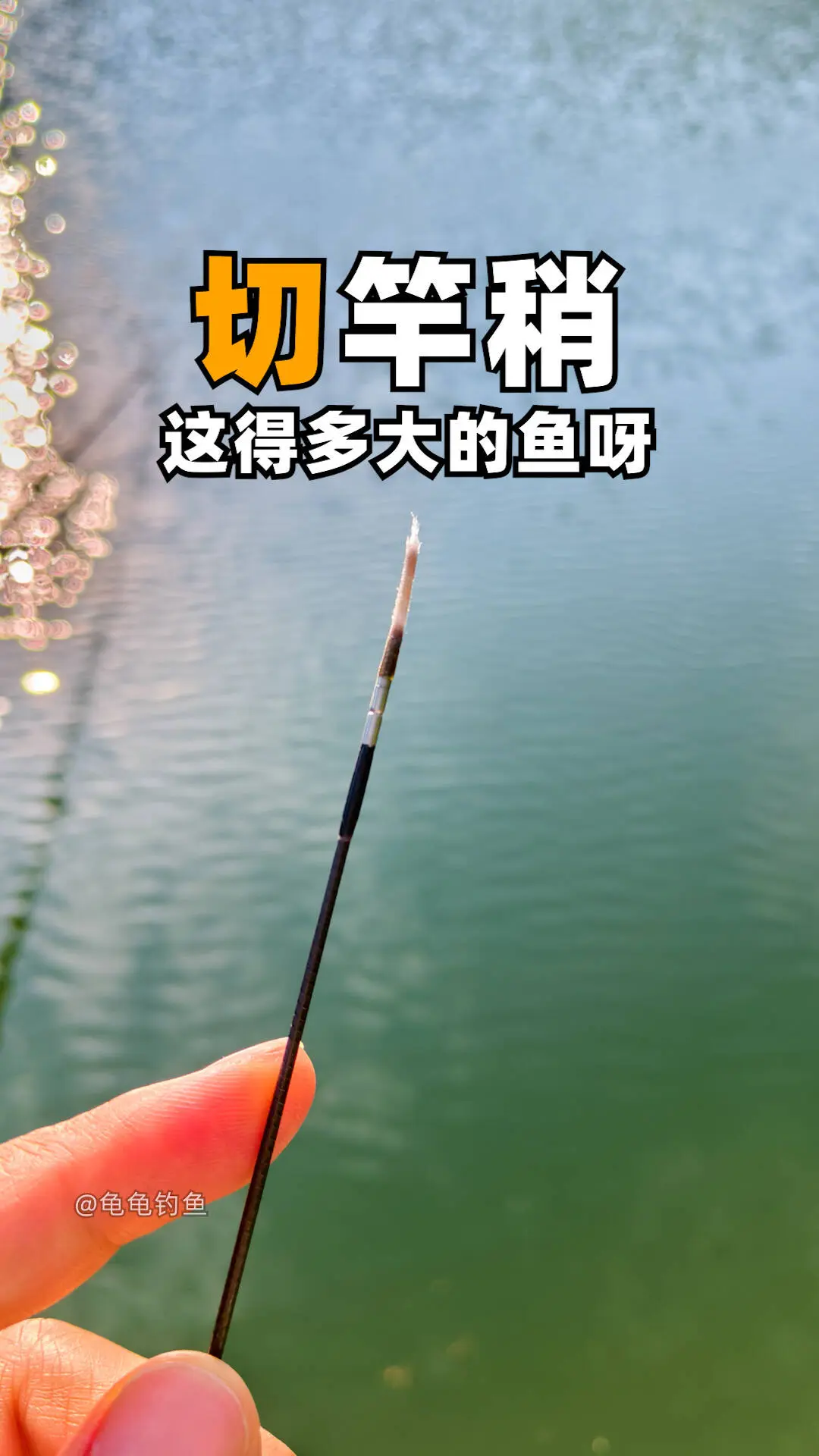线组搭配，大力马10+7+13号伊势尼鱼钩！不是挂底哦哦😂户外