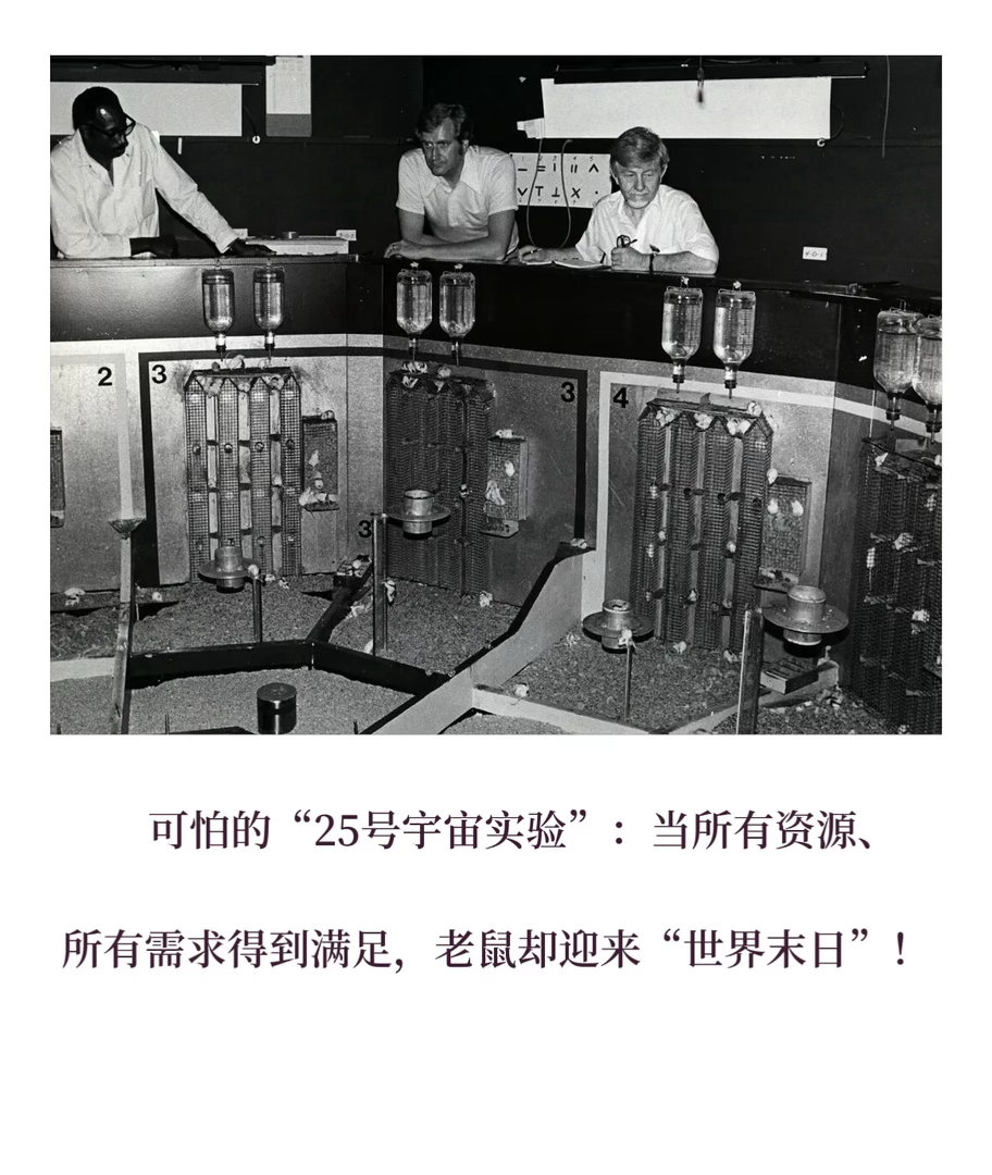 观点 【 AI经济学：当匮乏消失，人类会崩溃吗？ 】　　（ 更新于2026年7月
