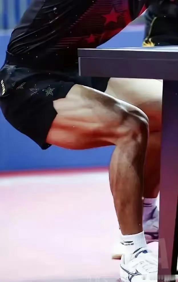 张继科的腿和王楚钦的腿，流量明星打不出来成绩还一堆梦女[允悲] ​​​