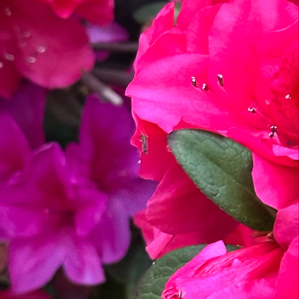 阳光信用  阳光信用 互动打卡 友情是决定在自己，不是在于对方，是在于自己的态度