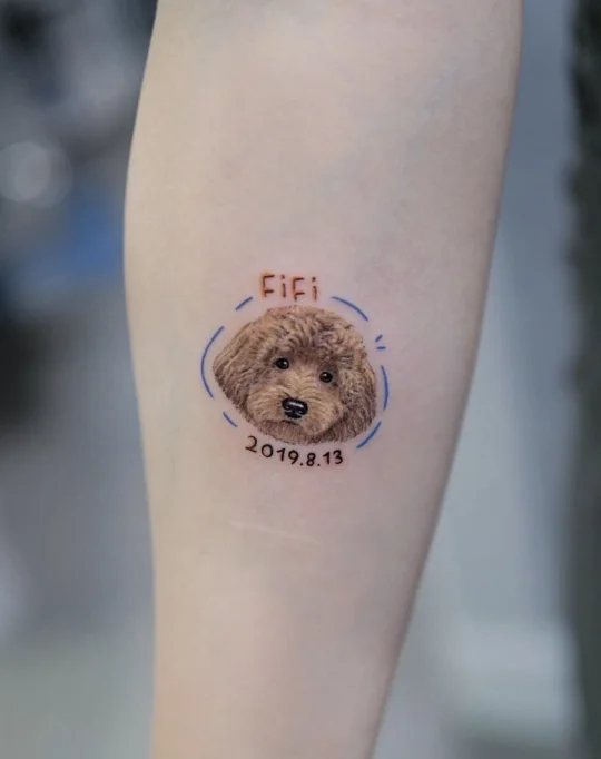 宠物纹身🐶左滑看恢复后｜Vancouver