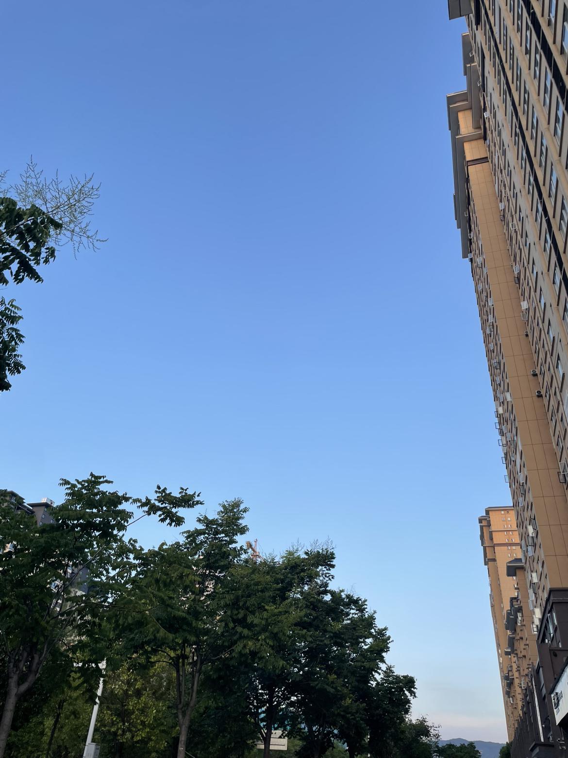 我的今日状态：💪🏻充满干劲
我这里的天气：☀️晴天