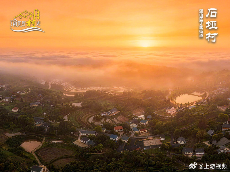 #重庆石垭村田园苗木交替成景# 【渝见好“村”光 | 璧山石垭村：历山叠翠 心归