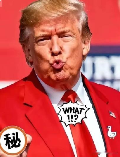 美国传来噩耗！
特朗普终于摊牌了
11日，特朗普在白宫发表讲话，宣布美国不再向乌